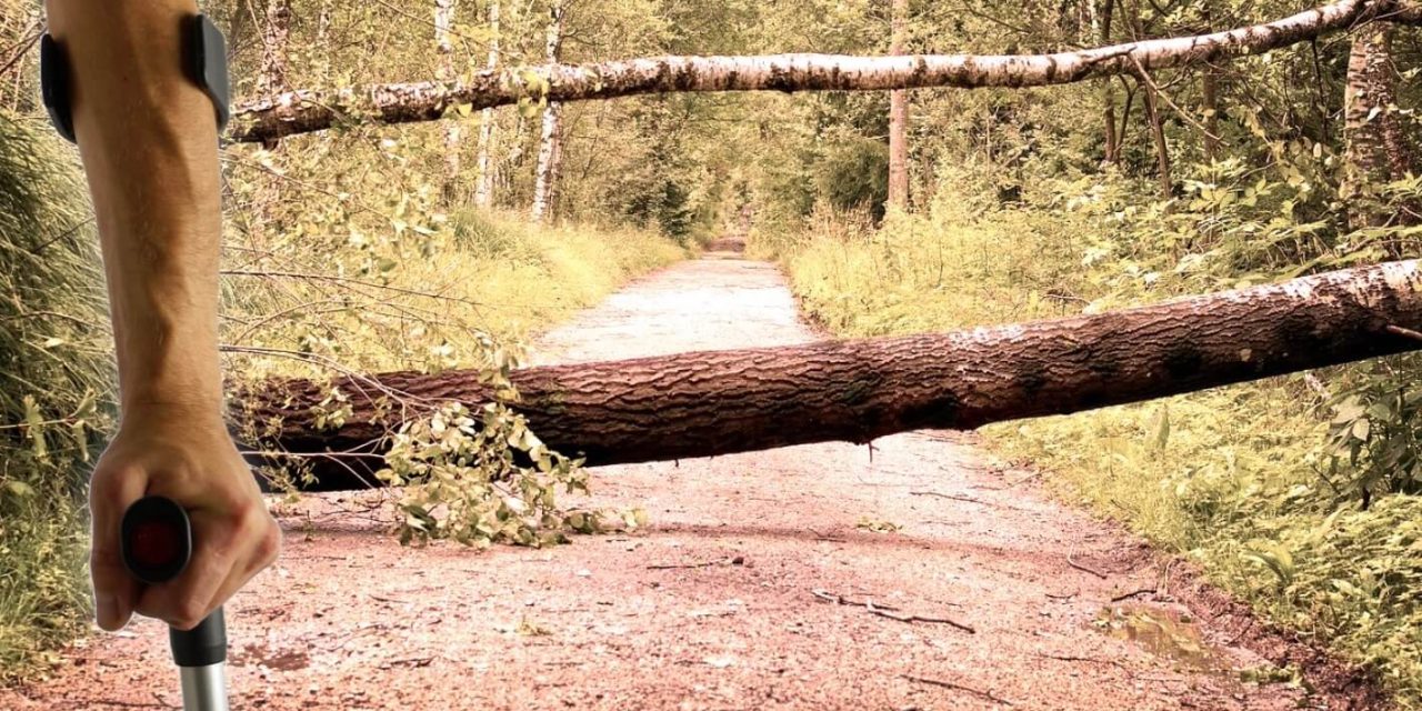 Impacto de la crisis climática en las personas con discapacidad