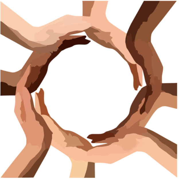 Retando la invisibilidad: inclusión de variables étnico-raciales en la recopilación de datos para enfrentar el racismo anti-negro en la salud mental.